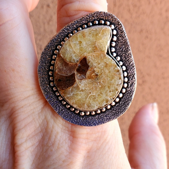 New Unique Oversized Ammonite 925 Silver Ring. - Picture 9 of 13